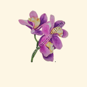 Parcel Tote-Orchids  Design