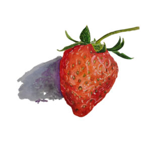 Fitted Face Mask-Strawberry Design
