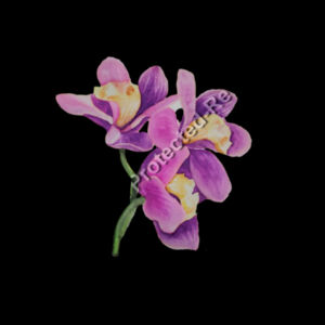 Shoulder Tote-Orchids  Design
