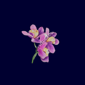 Apron-orchids Design