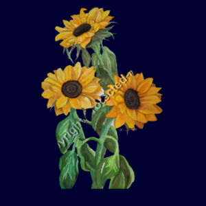 Apron-sunflowers Design