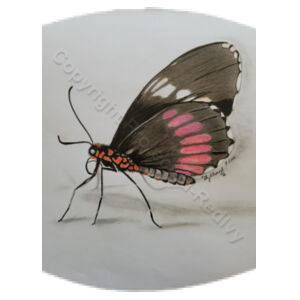 Black butterfly  - Flat Face Mask Design