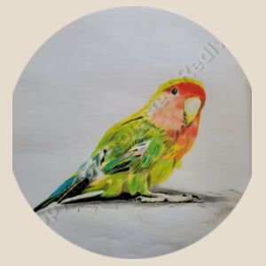 Parakeet - Round Wood Ornament Design