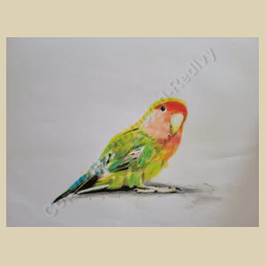 Christmas Eve Bag-Parakeet Design