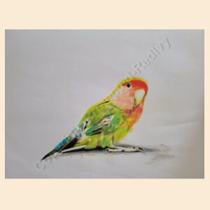 Medium Calico Santa Sack-Parakeet Design