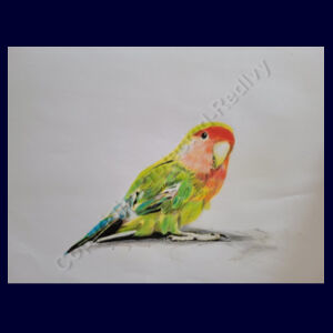 Cross Back Canvas Apron-Parakeet Design