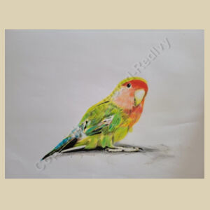 Small Calico Bag-Parakeet Design