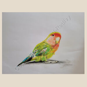 Heavy Duty Canvas Tote with Gusset-Parakeet Design