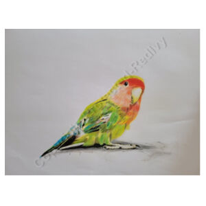 Tote Bag-Parakeet Design