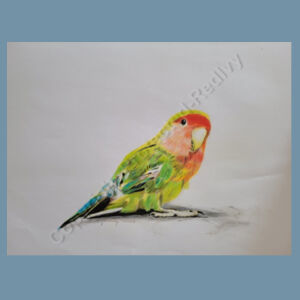 Denim Carrie Tote-Parrot Design