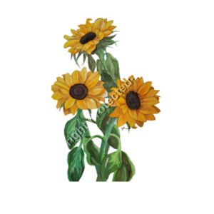 Stainless Bottle-Sunflower  Design