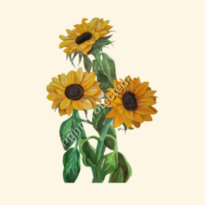 Carrie Tote Bag-Sunflower  Design