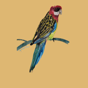 Christmas Ball Ornament-Rosella  Design