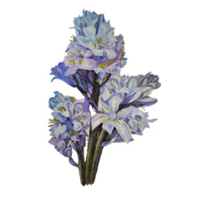 Frosted Glass Beer Mug-BLUEBELLS Design