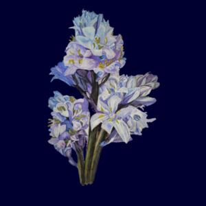 Apron-BLUEBELLS Design