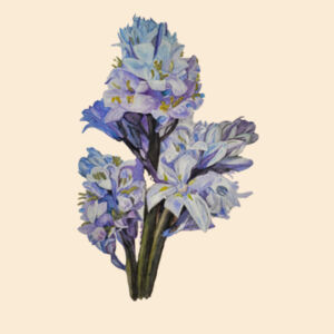 Large Calico Bag-BLUEBELLS Design