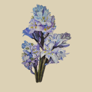 Small Calico Bag-BLUEBELLS Design
