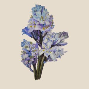 Heavy Duty Canvas Tote Bag-BLUEBELLS Design