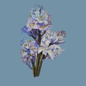 Denim Carrie Tote-BLUEBELLS Design