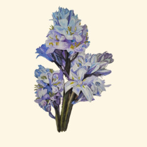 Parcel Tote- BLUEBELLS Design