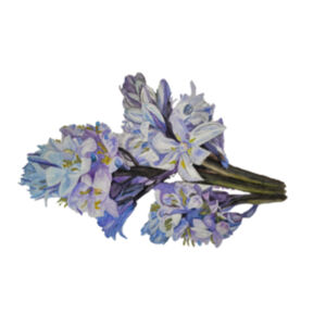 Mouse Pad- BLUEBELLS Design