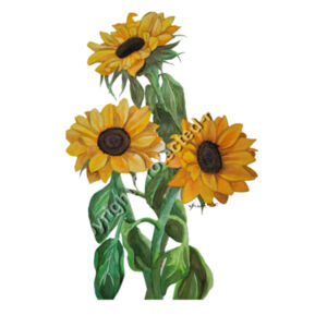 Infant Tee-Sunflower  Design