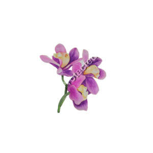 Coaster - Round Hardboard-Orchids  Design