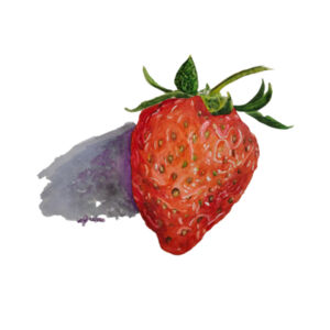 Flat Face Mask-Strawberry Design