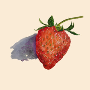 Ham Bag-Strawberry Design