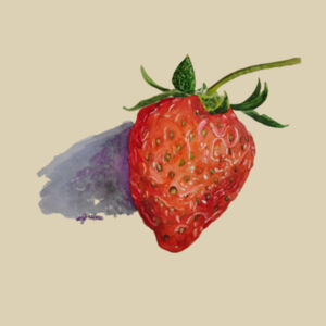 Christmas Eve Bag-Strawberry Design