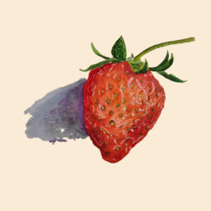 Medium Calico Santa Sack-Strawberry Design