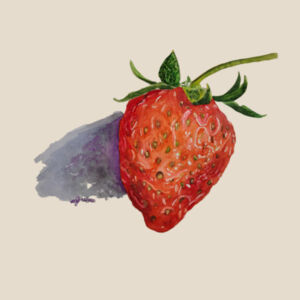 Heavy Duty Canvas Tote with Gusset-Strawberry Design