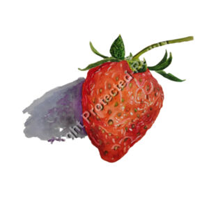 Mini-Me One-Piece-Strawberry Design