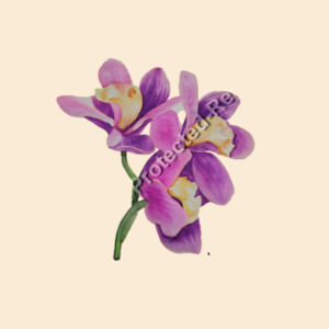 Large Calico Bag-Orchids  Design