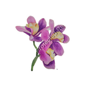 Tote Bag-Orchids  Design