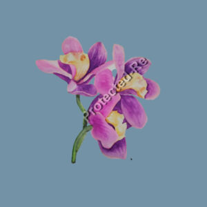 Denim Carrie Tote-Orchids  Design