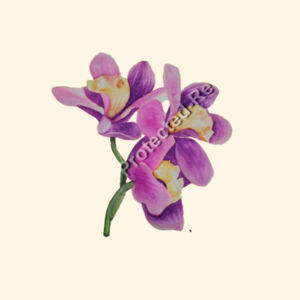 Carrie Tote Bag-Orchids  Design
