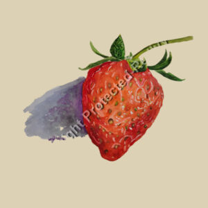 Christmas Eve Bag-Strawberry Design