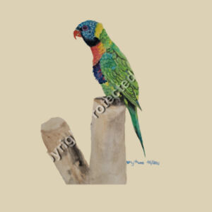 Small Calico Bag-Lorikeet  Design