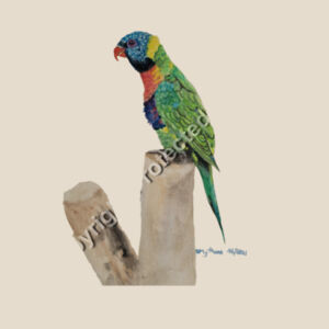 Heavy Duty Canvas Tote with Gusset-Lorikeet  Design