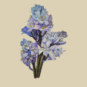Medium size-Bluebell  Design