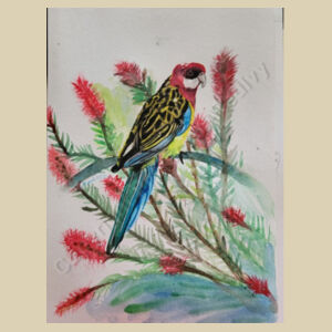 Medium size-Rosella Design