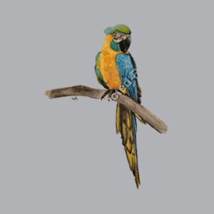 Perched Design
