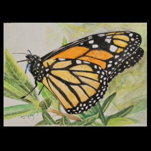 Monarch -Outline Tee Design
