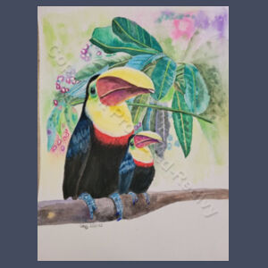 Toucans Design