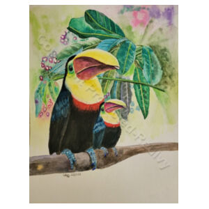 Toucan Icon tee Design