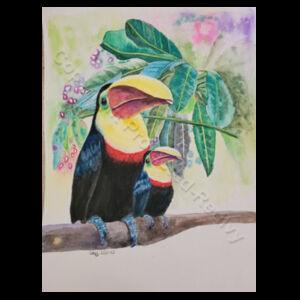 Toucans  Design