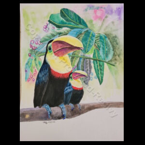 Toucans Design