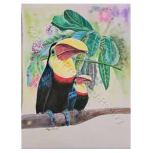 Toucans Design
