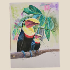 Toucans  Design